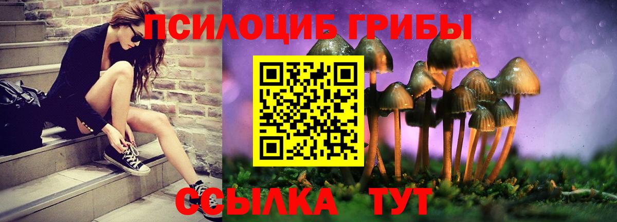 Галлюциногенные грибы Psilocybe  Вход с VPN  Кисловодск 